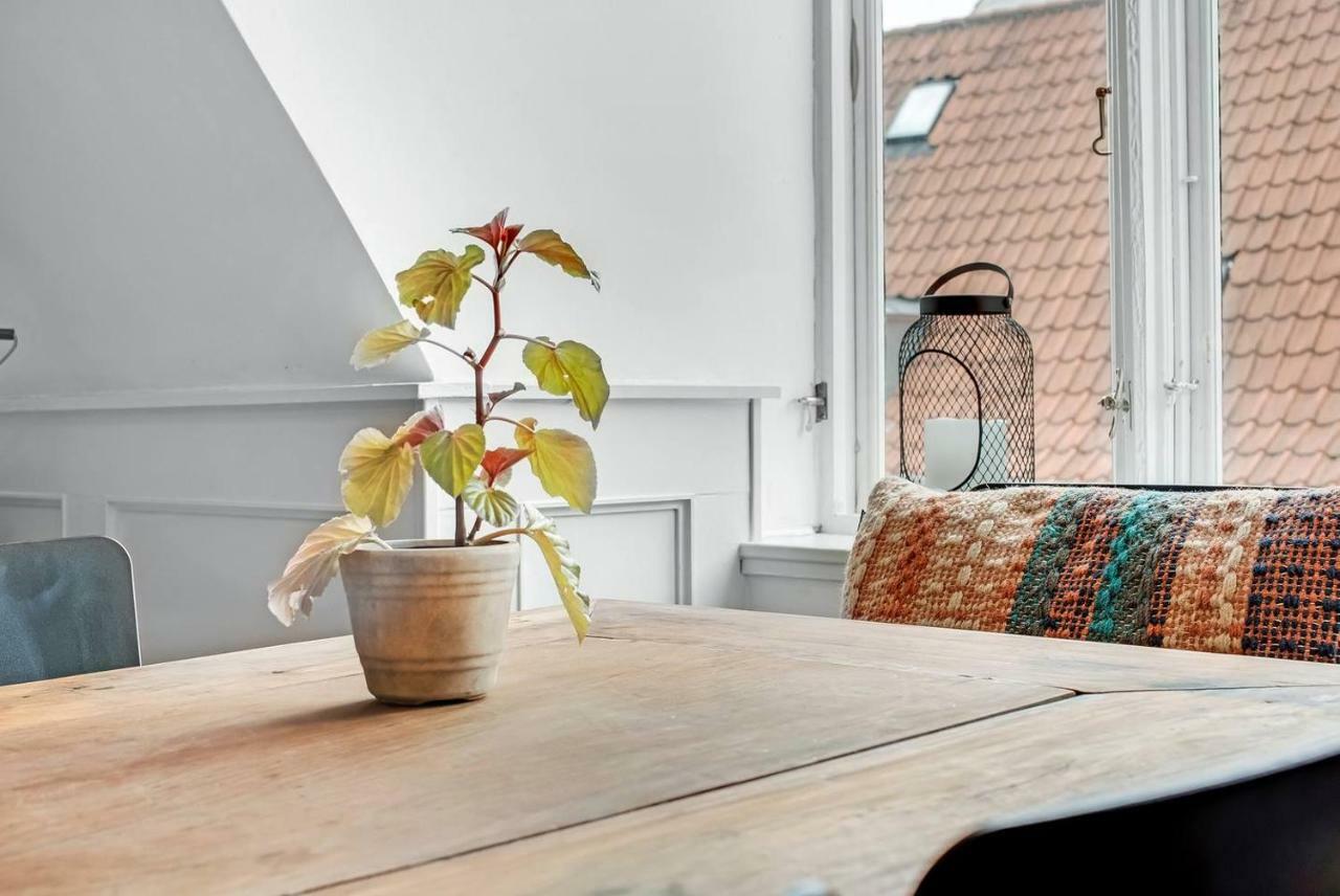 Leilighet Cosmopolitan And Cozy Flat In The Center Of Cph København